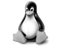 Linux Kernel